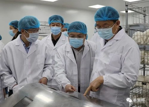 濱州新建12年制學(xué)校，優(yōu)質(zhì)教育資源再擴(kuò)容